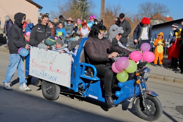 Narrentreiben 2025 (Fotos Rochus Hetzendorfer)